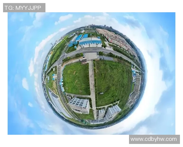 武汉乒乓球队转型之路的挑战与机遇全景观察